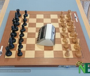 比耶拉市国际象棋锦标赛重返比耶拉